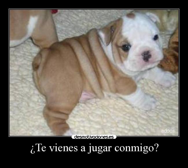 ¿Te vienes a jugar conmigo? -