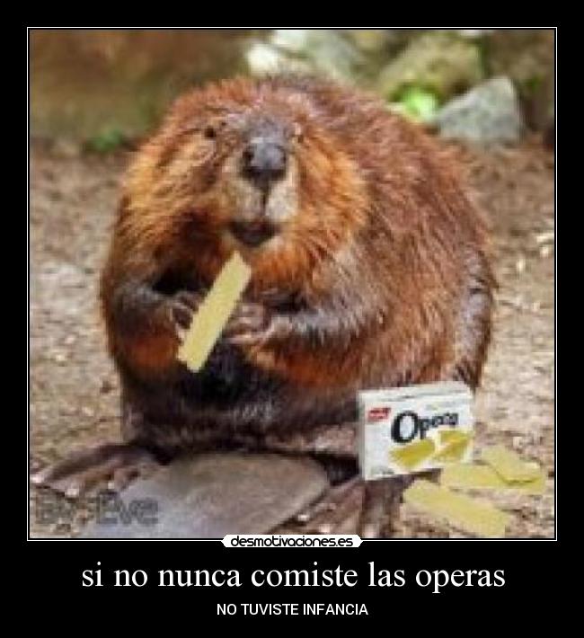 carteles castor desmotivaciones