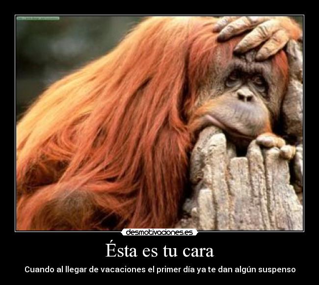 Ésta es tu cara - Cuando al llegar de vacaciones el primer día ya te dan algún suspenso