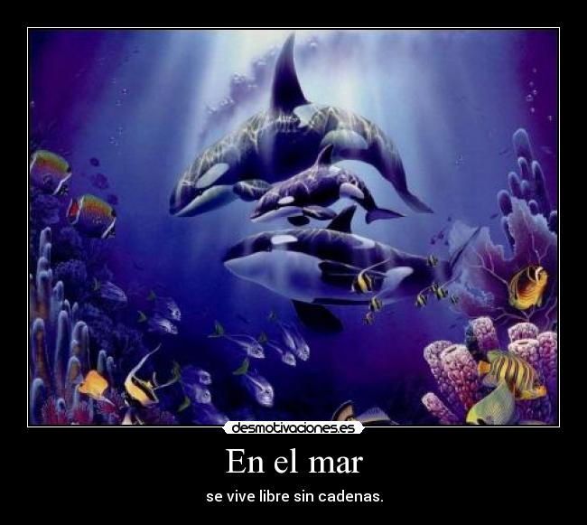 En el mar - se vive libre sin cadenas.