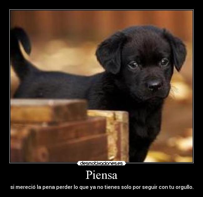 Piensa - si mereció la pena perder lo que ya no tienes solo por seguir con tu orgullo.