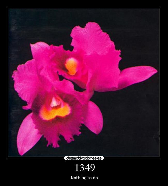 1349 - Nothing to do