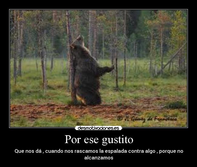 Por ese gustito - Que nos dá , cuando nos rascamos la espalada contra algo , porque no alcanzamos