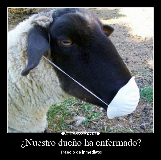 ¿Nuestro dueño ha enfermado? - 