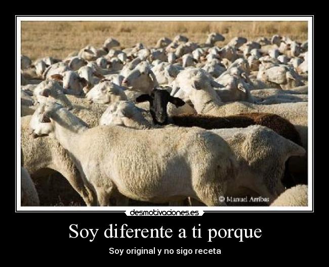 Soy diferente a ti porque -