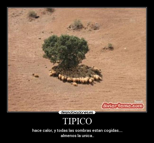 TIPICO -