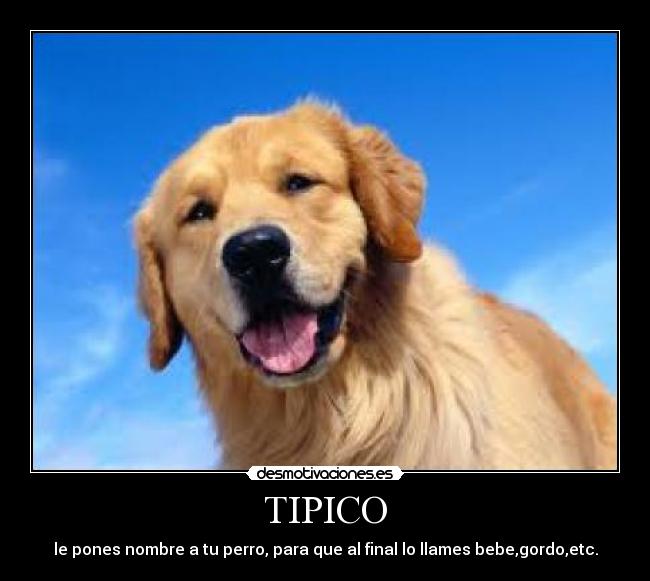 TIPICO -