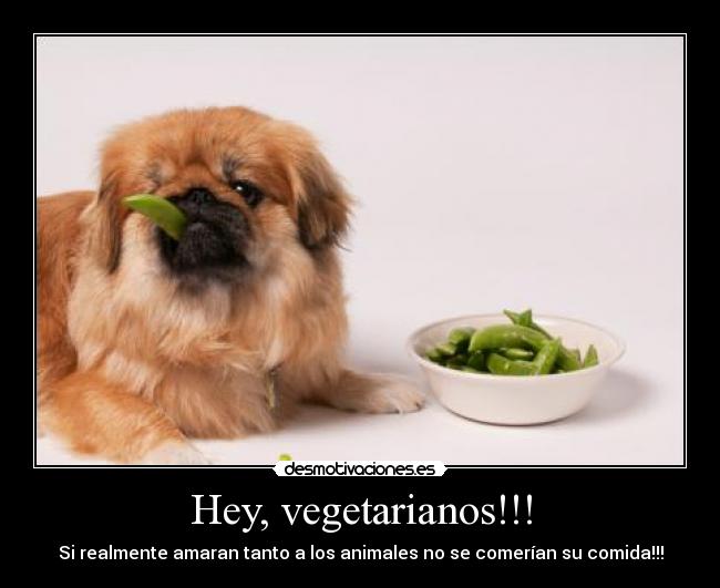 Hey, vegetarianos!!! -