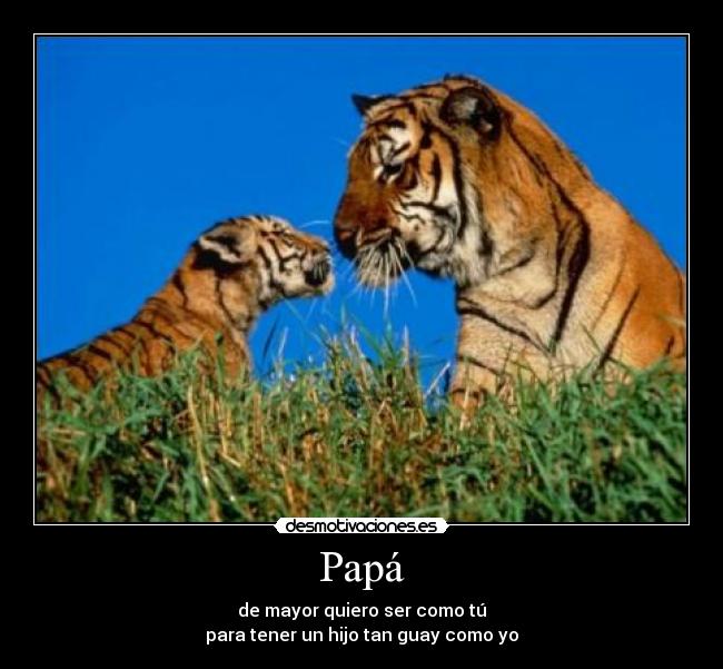 carteles wiiiiiiiiiii desmotivaciones