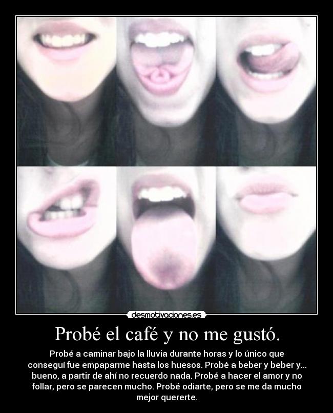 Probé el café y no me gustó. - Probé a caminar bajo la lluvia durante horas y lo único que
conseguí fue empaparme hasta los huesos. Probé a beber y beber y...
bueno, a partir de ahí no recuerdo nada. Probé a hacer el amor y no
follar, pero se parecen mucho. Probé odiarte, pero se me da mucho
mejor quererte.