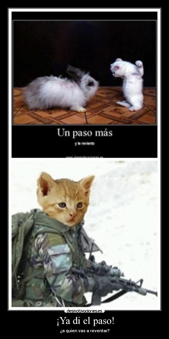 ¡Ya di el paso! - ¿a quien vas a reventar?