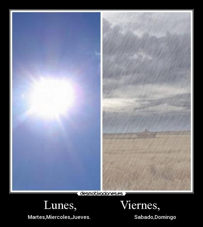 Lunes, Viernes, - Martes,Miercoles,Jueves. Sabado,Domingo