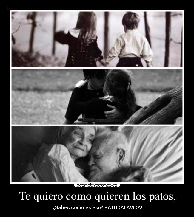 Te quiero como quieren los patos, - ¿Sabes como es eso? PATODALAVIDA!