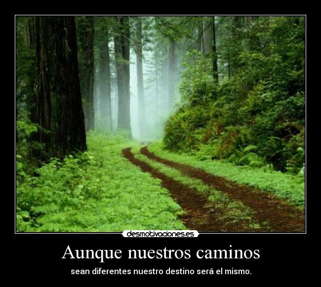 Aunque nuestros caminos - sean diferentes nuestro destino será el mismo.