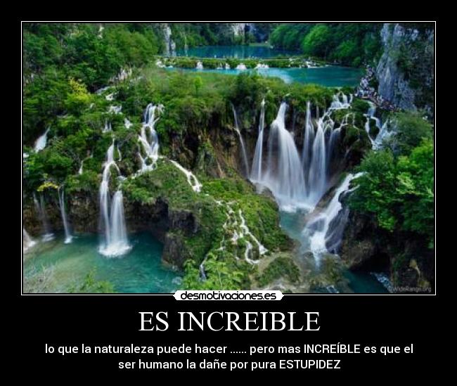 ES INCREIBLE -