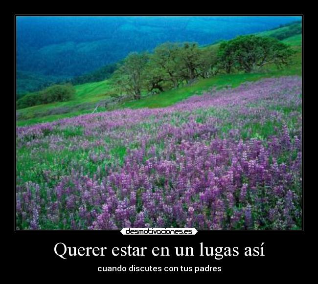 carteles  desmotivaciones