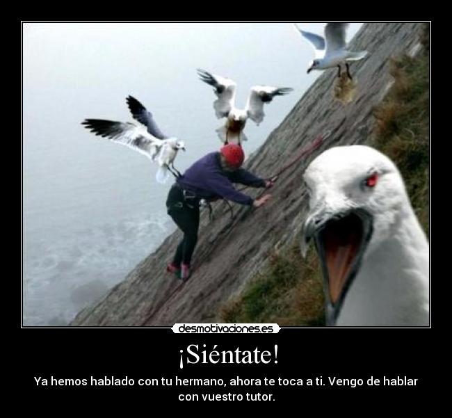 carteles desmotivaciones