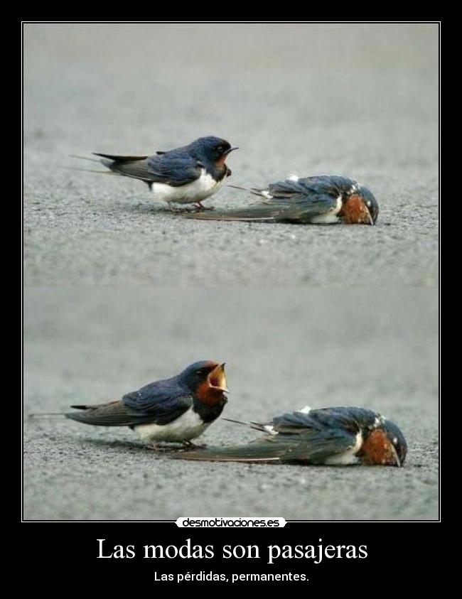 Las modas son pasajeras -