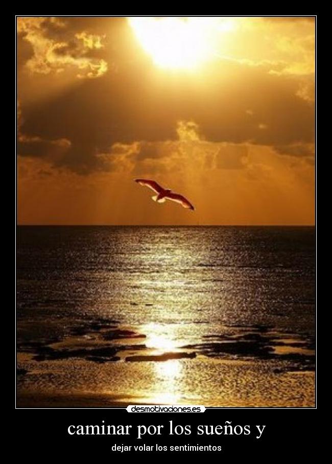 caminar por los sueños y - 