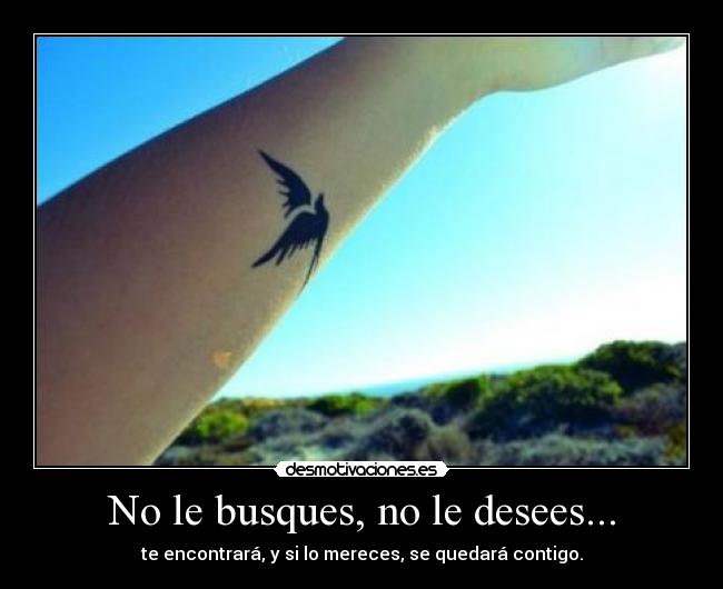 No le busques, no le desees... - 