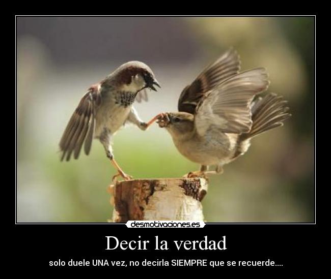 Decir la verdad - 