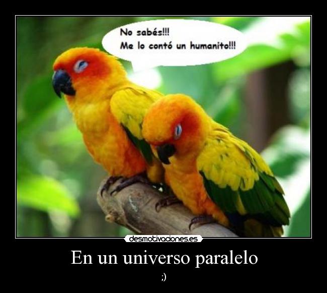 En un universo paralelo - 