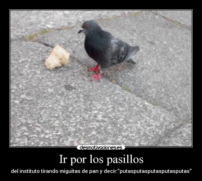 Ir por los pasillos -