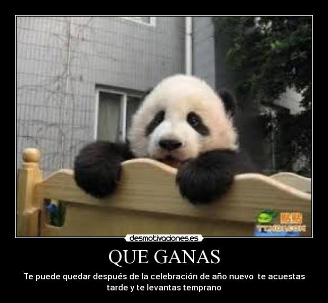 QUE GANAS - Te puede quedar después de la celebración de año nuevo te acuestas
tarde y te levantas temprano