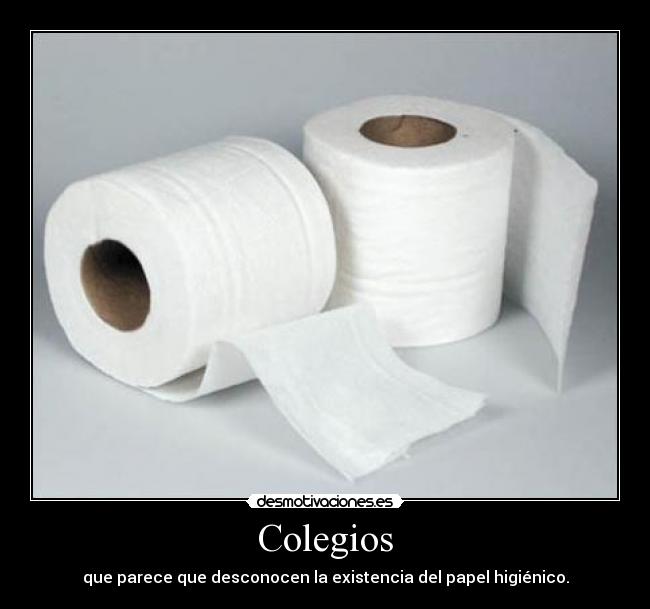 Colegios - que parece que desconocen la existencia del papel higiénico.