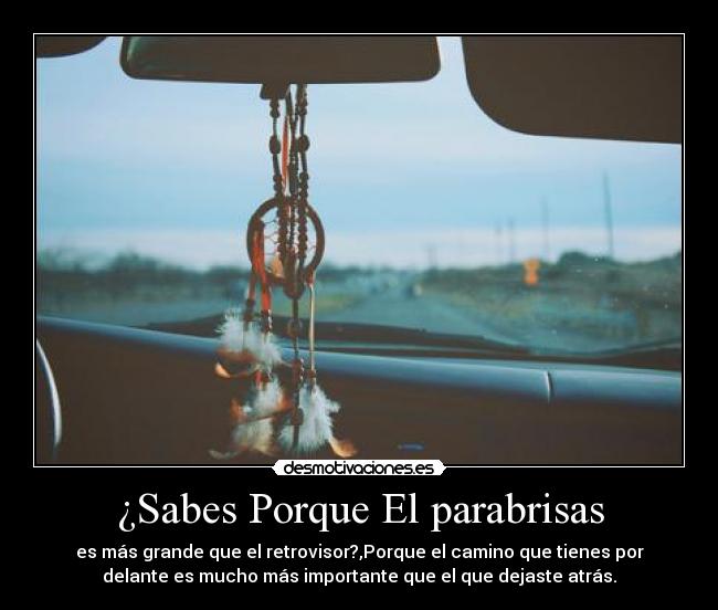 ¿Sabes Porque El parabrisas - 