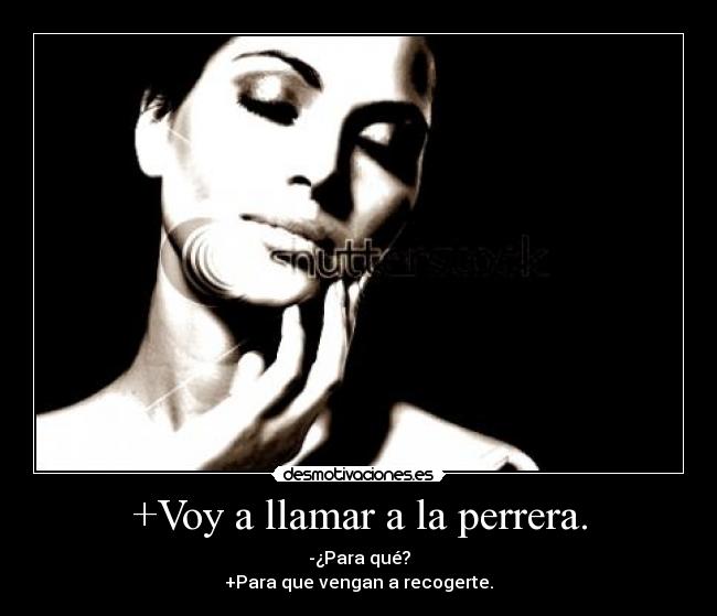 +Voy a llamar a la perrera. -