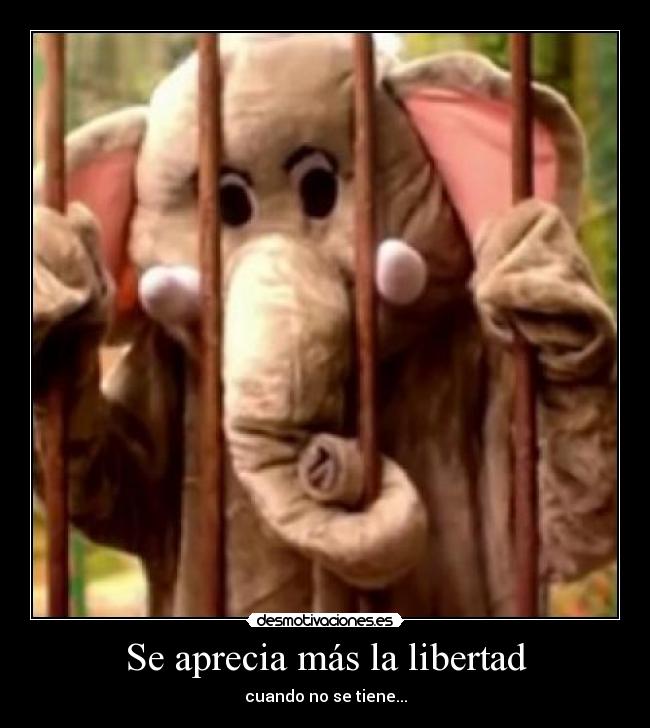 Se aprecia más la libertad - cuando no se tiene...