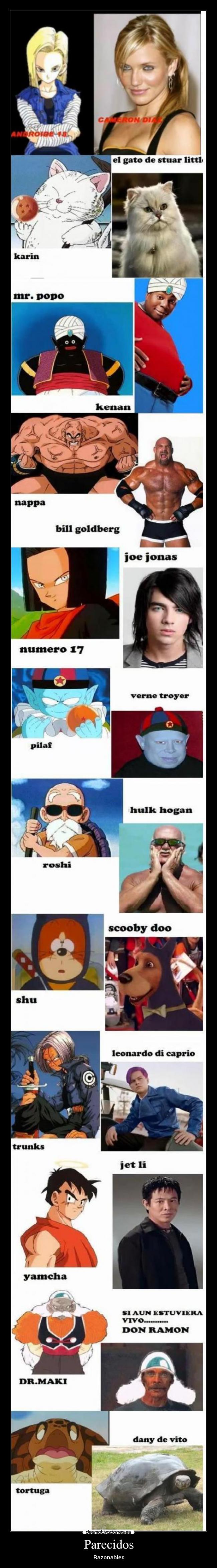 Parecidos - Razonables