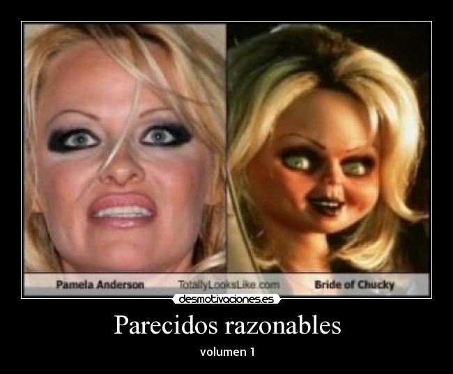 Parecidos razonables - volumen 1