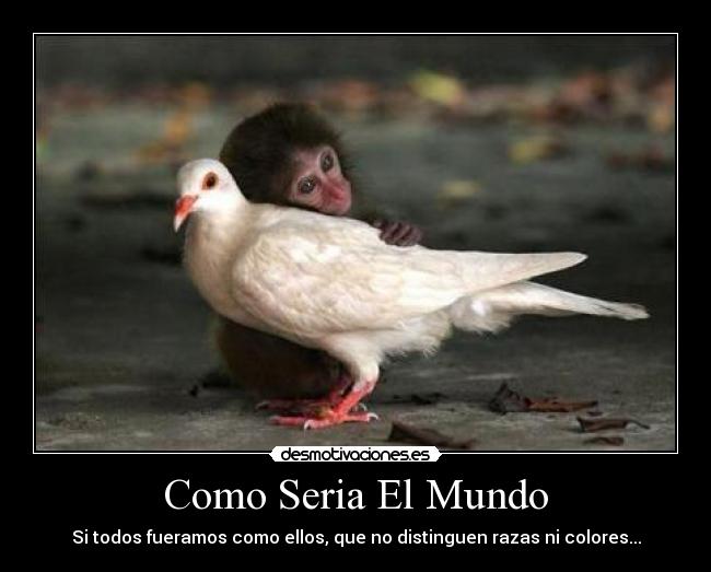 Como Seria El Mundo - Si todos fueramos como ellos, que no distinguen razas ni colores...