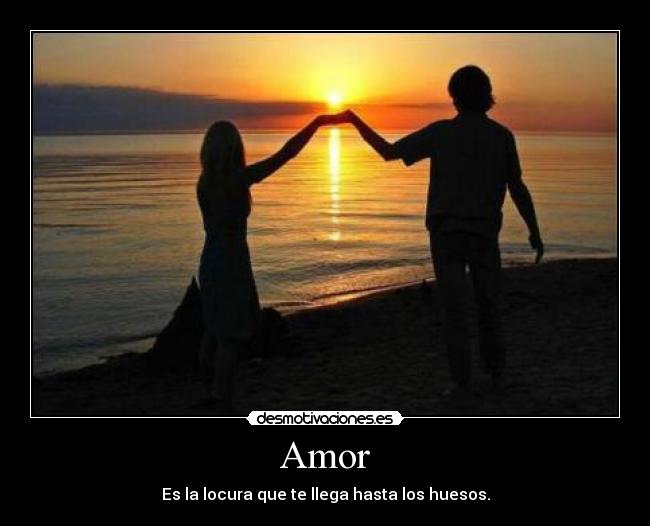 Amor -