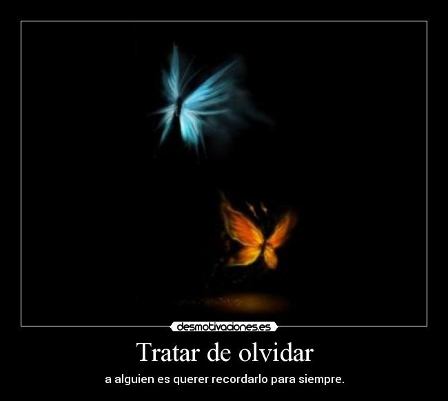 Tratar de olvidar - 