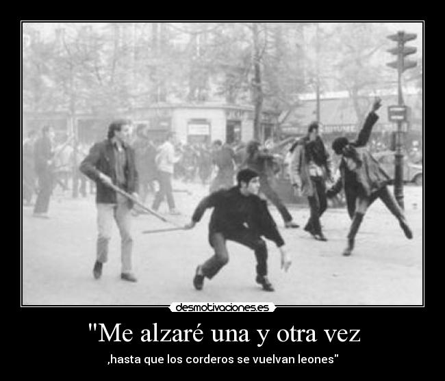 carteles por ellos desmotivaciones