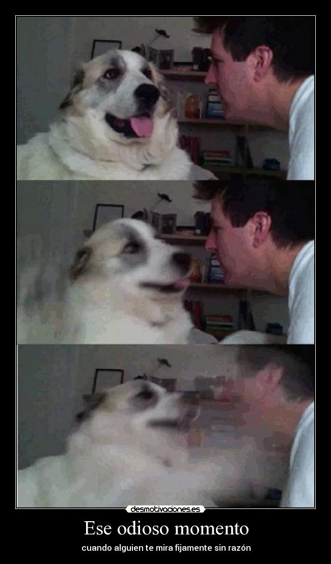 Ese odioso momento - 