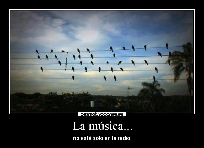 carteles musica musica esta solo radio desmotivaciones