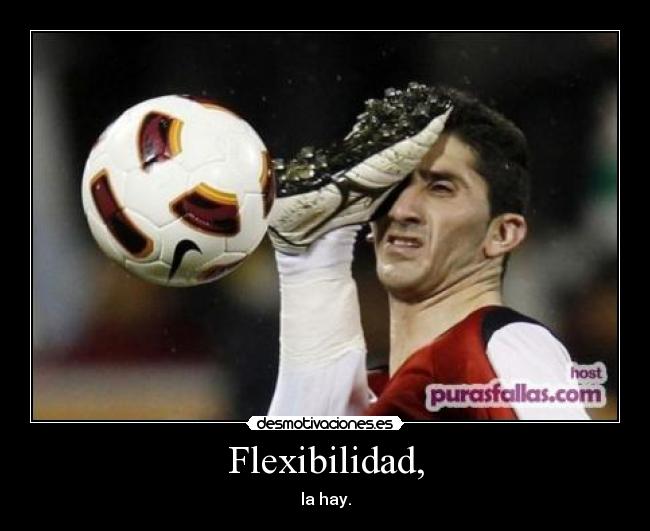 Flexibilidad, -
