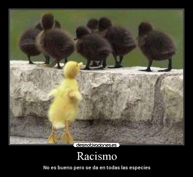 Racismo - No es bueno pero se da en todas las especies