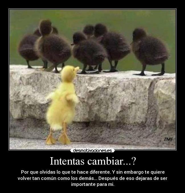 Intentas cambiar...? -