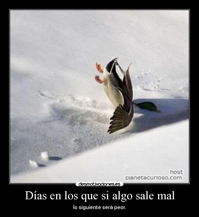 Días en los que si algo sale mal -