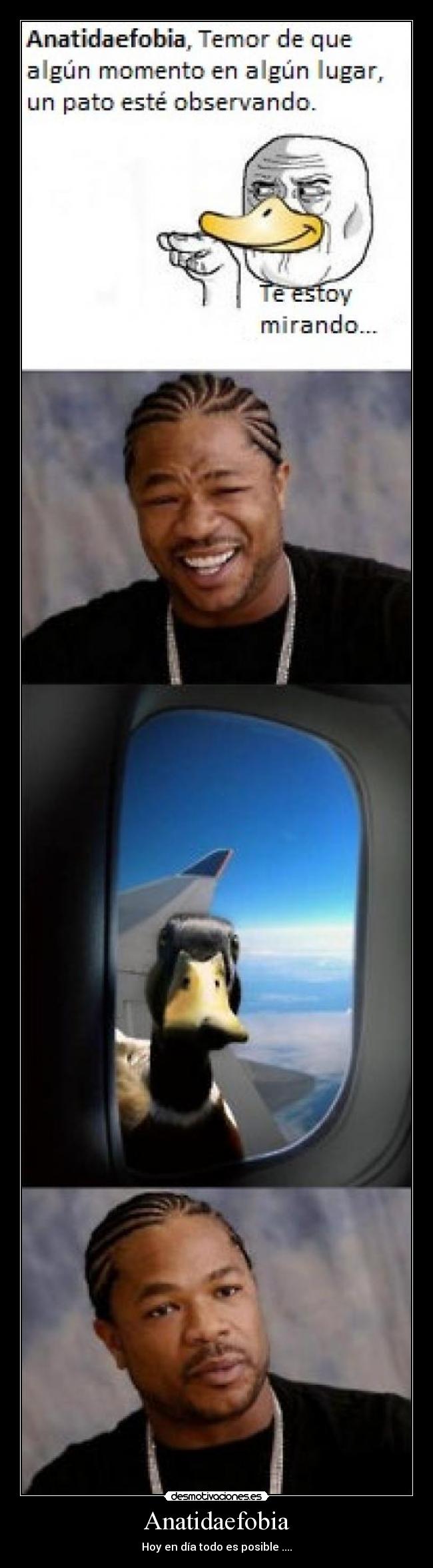 Anatidaefobia - 