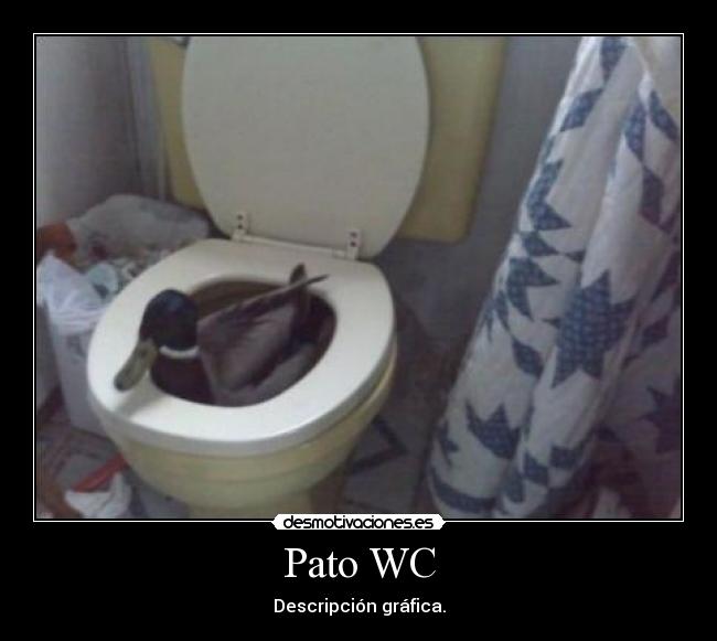 carteles pato desmotivaciones