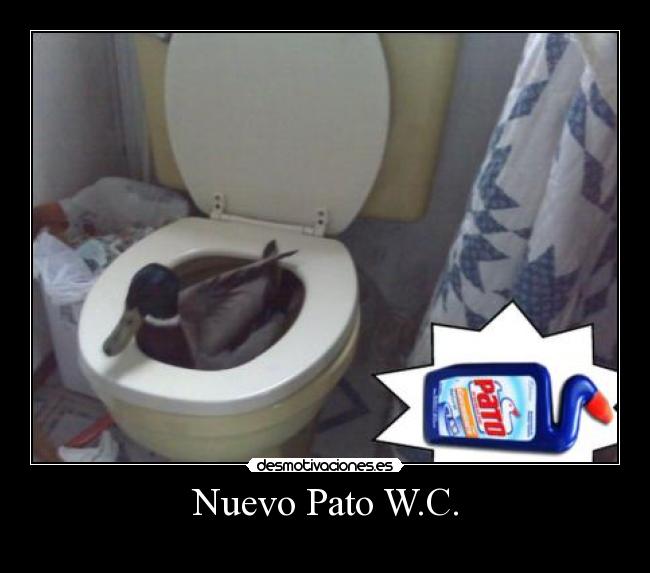 Nuevo Pato W.C. - 