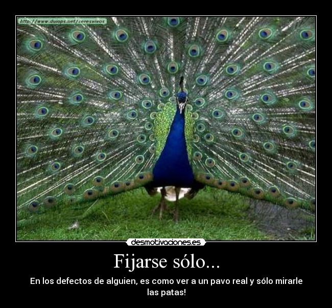 Fijarse sólo... - En los defectos de alguien, es como ver a un pavo real y sólo mirarle las patas!