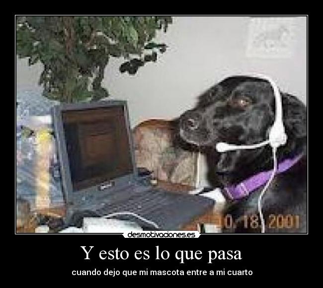 Y esto es lo que pasa - 