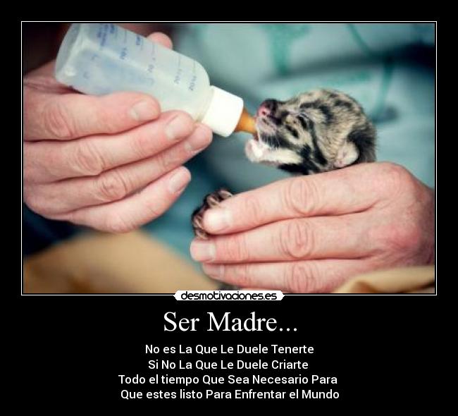 Ser Madre... - No es La Que Le Duele Tenerte
Si No La Que Le Duele Criarte
Todo el tiempo Que Sea Necesario Para
Que estes listo Para Enfrentar el Mundo